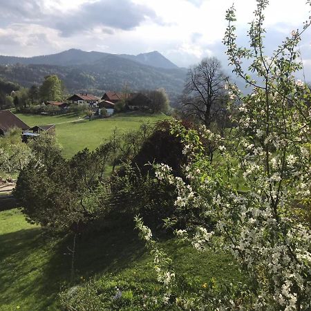 Entspannen Mit Bergpanorama Siegsdorf Esterno foto