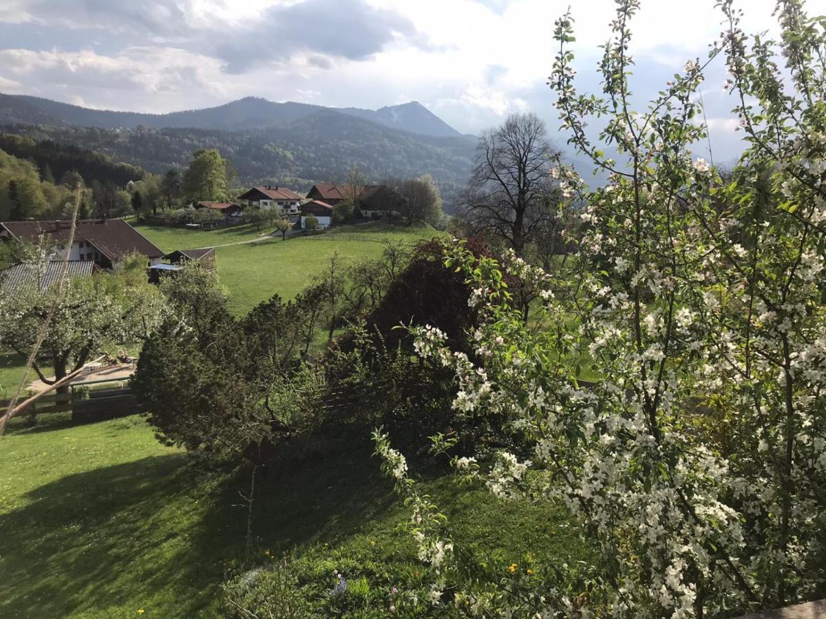 Entspannen Mit Bergpanorama Siegsdorf Esterno foto